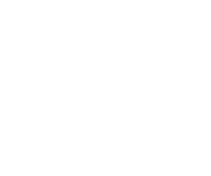 24-years of Experience badge